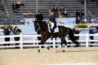 549 Amoretto - 6th place