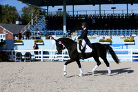 524 Mondlicht - 5th Place