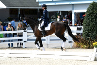 HSM_2161