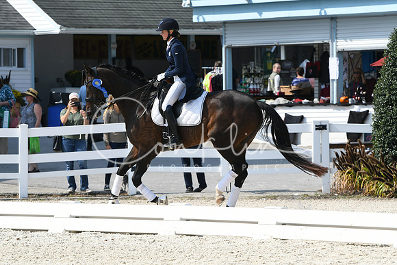 HSM_2162