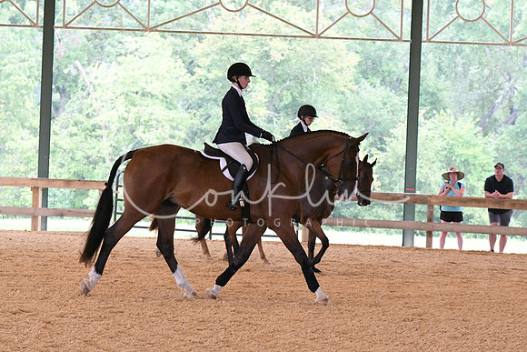 HSM_2338
