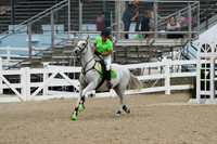 HSM_3287