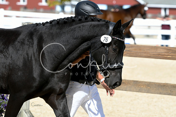 HSM_4780-1