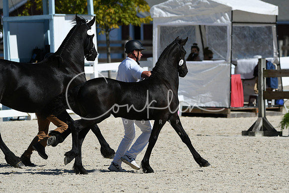 HSM_4696