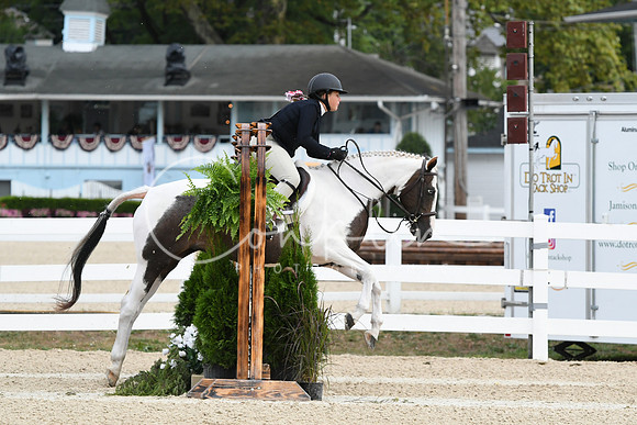 HSM_5201
