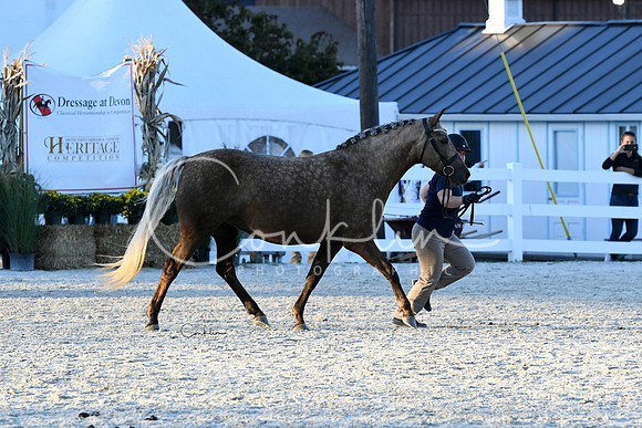 HSM_5617-1