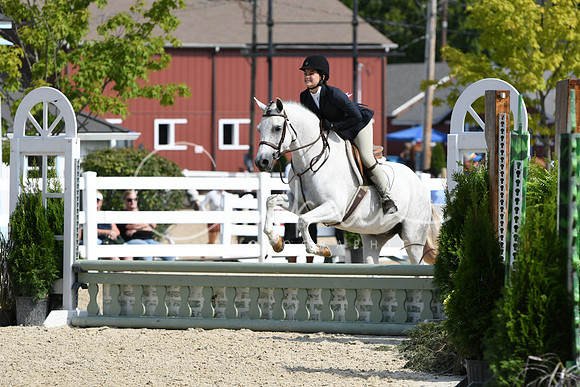 HSM_6252