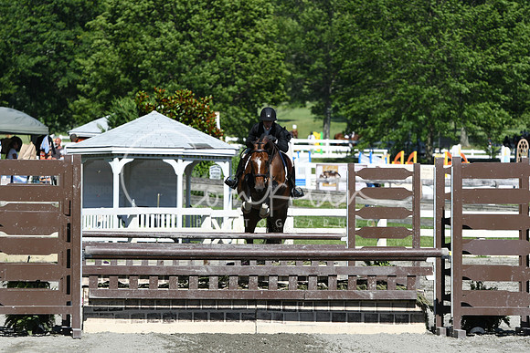 HSM_8972