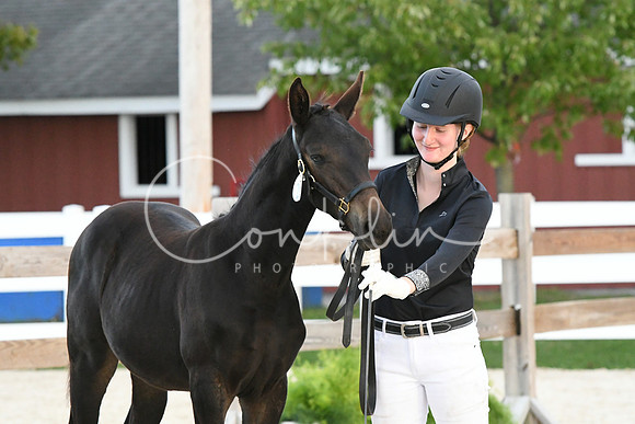 HSM_6347