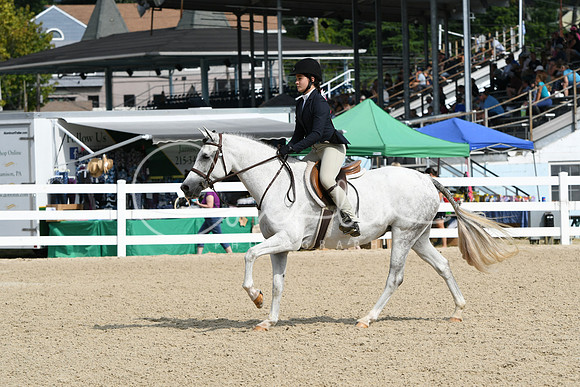 HSM_6196