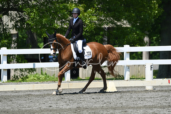 HSM_1555