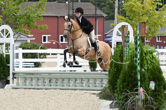 HSM_5209