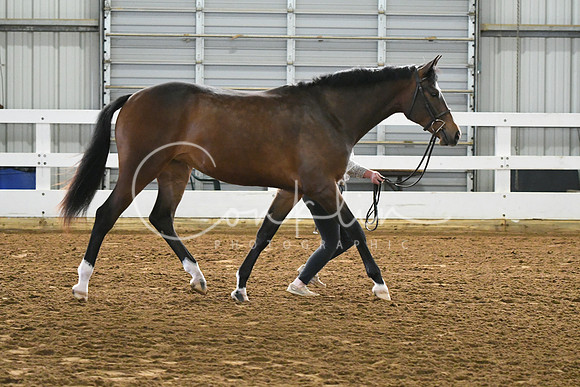 HSM_3689