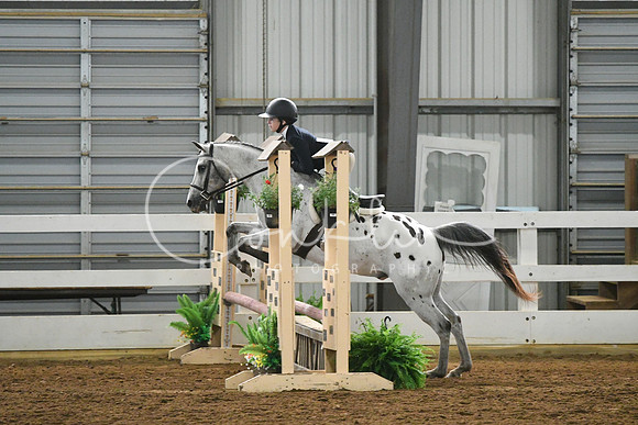 HSM_7539