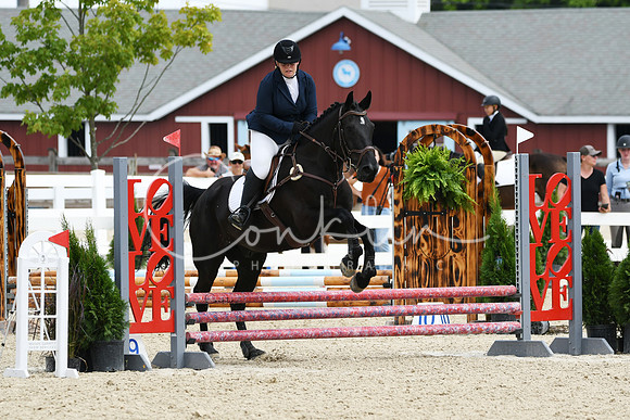 HSM_2270-1
