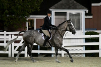 HSM_0628