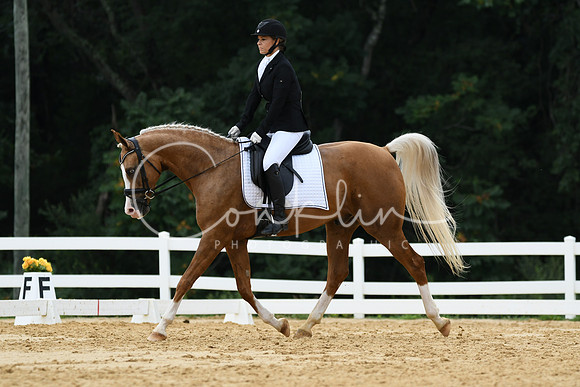 HSM_0269