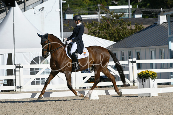 HSM_0725-1