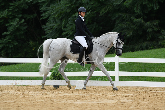HSM_0331