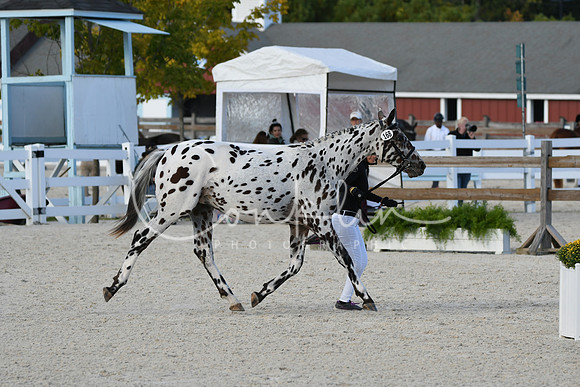 HSM_5496