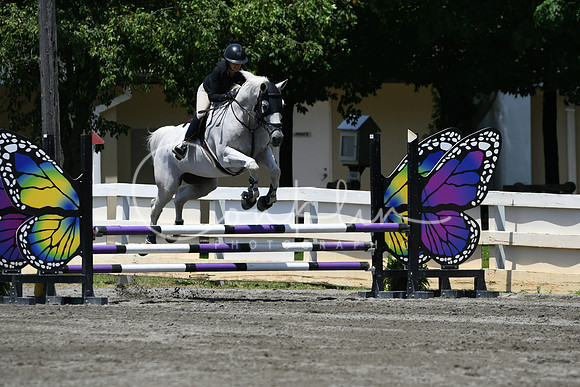 HSM_3199