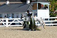 HSM_8174