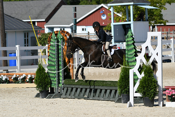HSM_3931