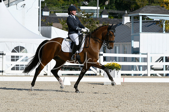 HSM_6333-1