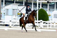 HSM_0175-1