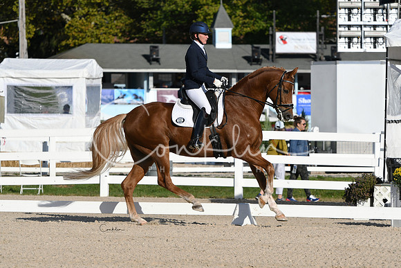 HSM_5629-1
