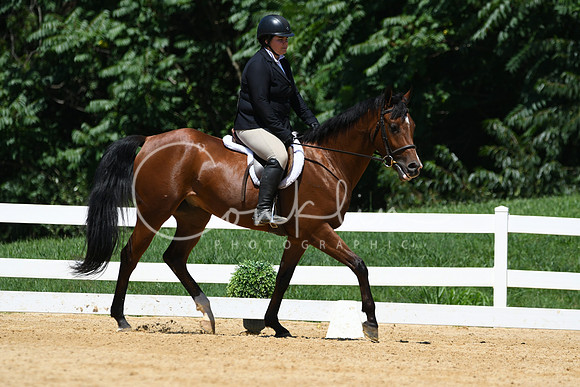 HSM_1336