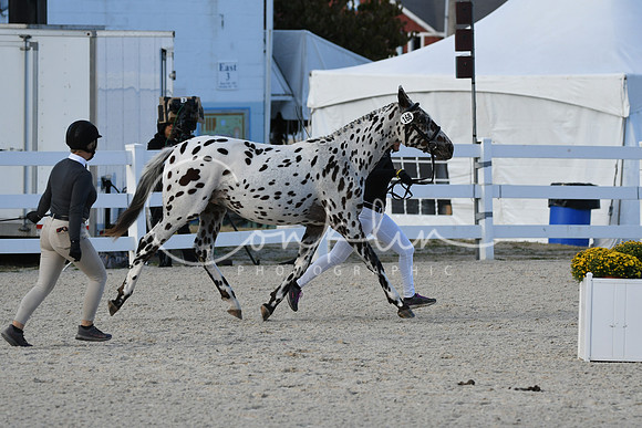 HSM_5493