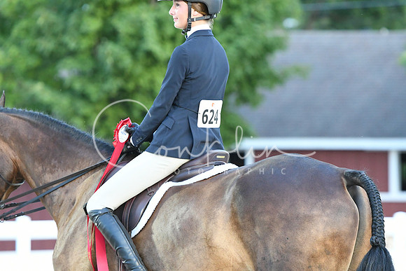 HSM_0474
