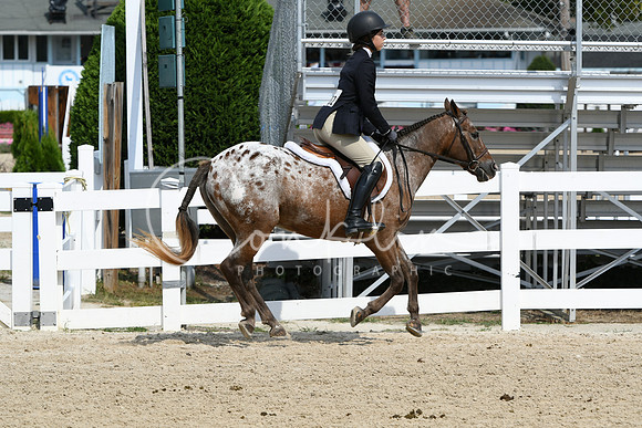 HSM_6433