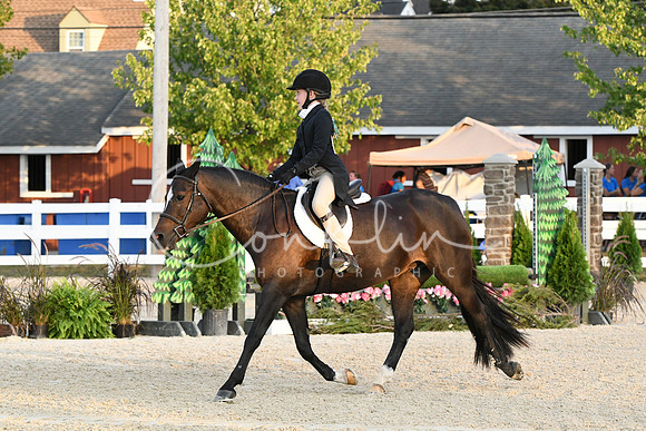 HSM_7738