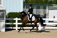 HSM_4265