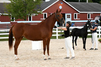 HSM_6319