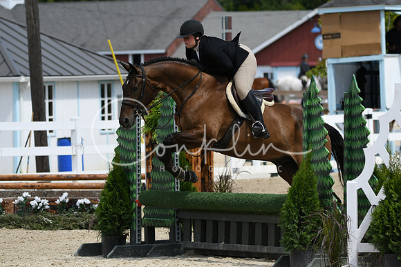 HSM_6782