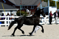 HSM_4781
