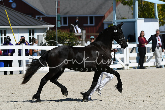 HSM_4781