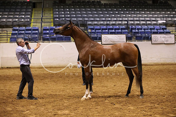BW189595