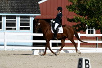 HSM_6917