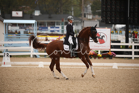 BW241316
