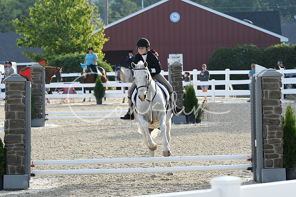 HSM_1101