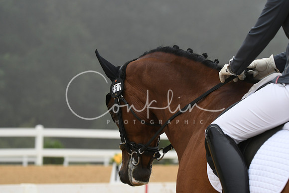 HSM_0827