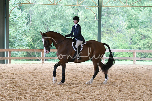 HSM_2534