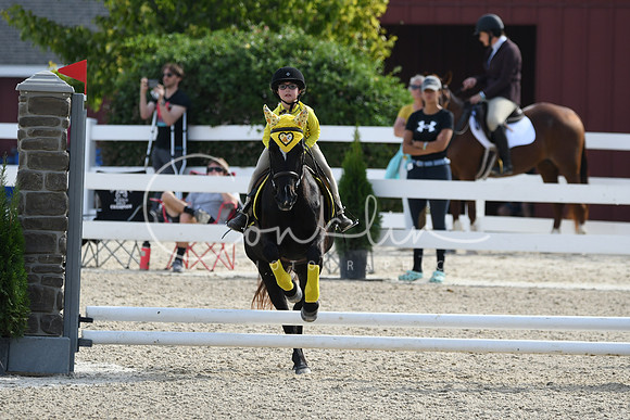 HSM_1594