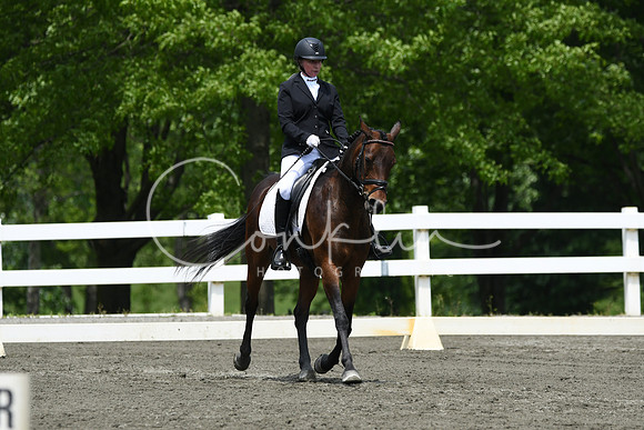 HSM_0334