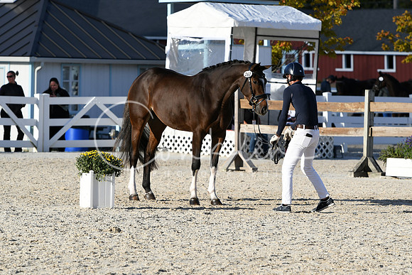 HSM_5313-1