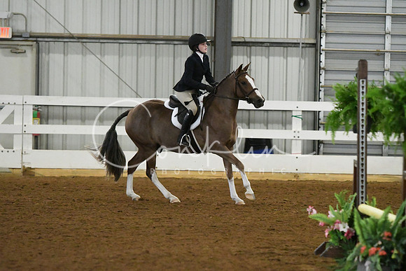 HSM_6239